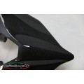 Carbonvani - Ducati Panigale / Streetfighter V4 / V2 / S / R / Speciale Carbon Fiber Tail - Road Version
